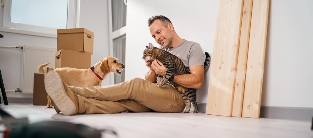 Moving Day Success for Your Pets Using These Tips